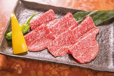 カメノコの写真画像